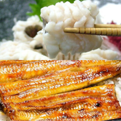 浅草 魚料理 遠州屋のコース写真