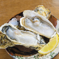 料理メニュー写真&nbsp;長崎県　大粒 生牡蠣(１ケ）