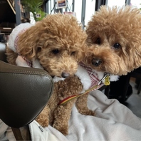 ペット同伴大歓迎♪