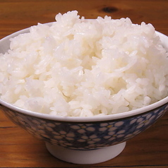 ごはん(大 / 並)