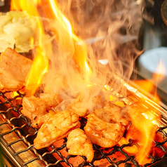 焼き鳥 居酒屋 鶏義 鹿児島天文館店の特集写真