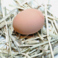 【鶏卵】入間市 金子にある栗原養鶏さんの卵を使用しています。産みたてを直接納品していただいています。コクがあり美味です。