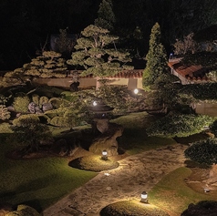 てぃーちの雰囲気1