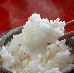 ご飯