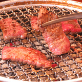 本格炭火焼肉を楽しめる！ファミリーでのご利用から完全個室での接待まで、幅広いシーンでご活用可能！