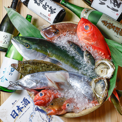 大衆食堂魚かねの写真