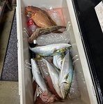 日によってはオーナー自ら釣ってきた獲れたての鮮魚もラインナップに☆