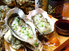 北海道直送　濃厚牡蠣