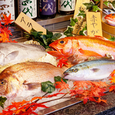美味しいお魚をお客様にお届けするために、毎朝水揚げされたばかりの鮮魚を市場より仕入れております。魚料理をお刺身、焼き物、煮物など様々な形でお届け致します。