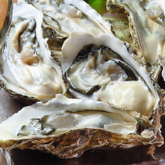 厚岸直送の牡蠣を多彩に味わう