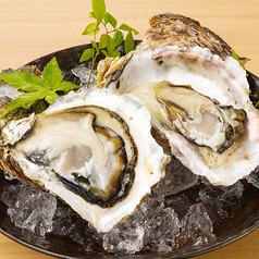 天然 岩ガキ