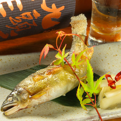 広島県産牡蠣とコウネ料理　居酒屋　獅子奮迅の特集写真
