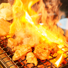 焼き鳥 居酒屋 鶏義 鹿児島天文館店の特集写真