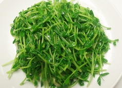 季節トウミョウ炒め