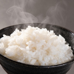 ライス