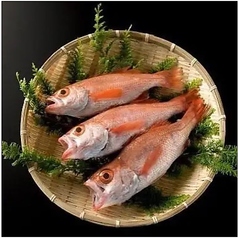 銀座方舟 川崎ラチッタデッラ店のコース写真