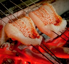 うらをとわのコース写真