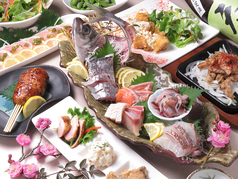 炭火焼鳥と厳選魚介 鶏とと特集写真1