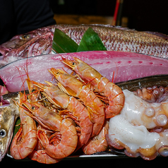一心一味 法善寺 茂のコース写真