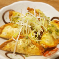 ネギ塩揚げ餃子