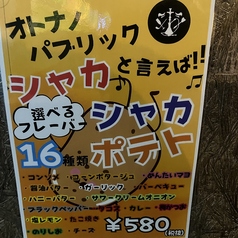 【シャカシャカポテト】サワークリームオニオン