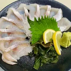 生ホッケきずし