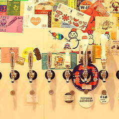 本日のクラフトビール