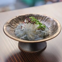 生シラスおろし