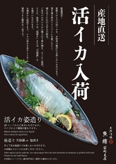 産地直送！活イカの写真