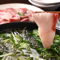 日本酒飲み比べセット◎ 絶品のブリしゃぶ鍋