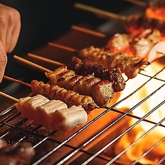 無何有 神鶏の特集写真