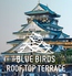 BLUE BIRDS ROOF TOP TERRACE ブルーバーズルーフトップテラスロゴ画像