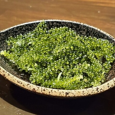 海ぶどう