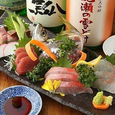 産地直送鮮魚！鮮度抜群♪三浦半島の地魚を堪能