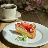 マツガミネコーヒービルヂング 102 東店のおすすめ料理2