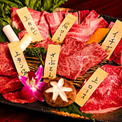 スタミナ No 1 上野店のコース写真