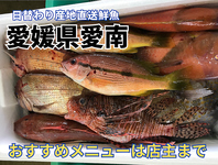 産地直送　鮮魚