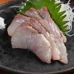 獅酔陀 シスター 立川の特集写真