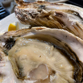 料理メニュー写真 ハイコスパ生牡蠣（原価率60%）