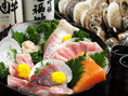 九州出身の店主が毎日新鮮な旬の食材を仕入れ、活きの良い魚をご用意!!