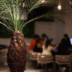 Leje石垣島 CASINO&SHISHA BARのおすすめポイント1