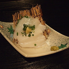 いかの刺身/炙りトロサーモン刺し