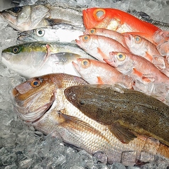 魚匠屋 神田西口店の特集写真