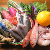 お刺身！のどぐろ！産地直送鮮魚は新鮮で美味しい♪