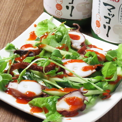 タコキムチ豆苗サラダ