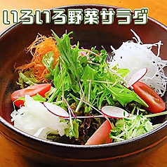 いろいろ野菜サラダ