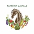 Fattoria Cavallo ファットリア カヴァッロのロゴ