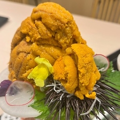 別亭 寺泊にほん海のコース写真