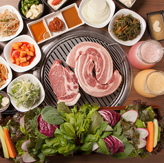 炭火焼サムギョプサル専門店 やさい村大地 札幌大通店のコース写真