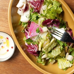 白菜と色々新鮮野菜の冬サラダ～カブのクリーミードレッシング